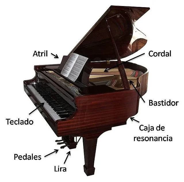 El embrague de piano de cola: funciones esenciales de los pedales